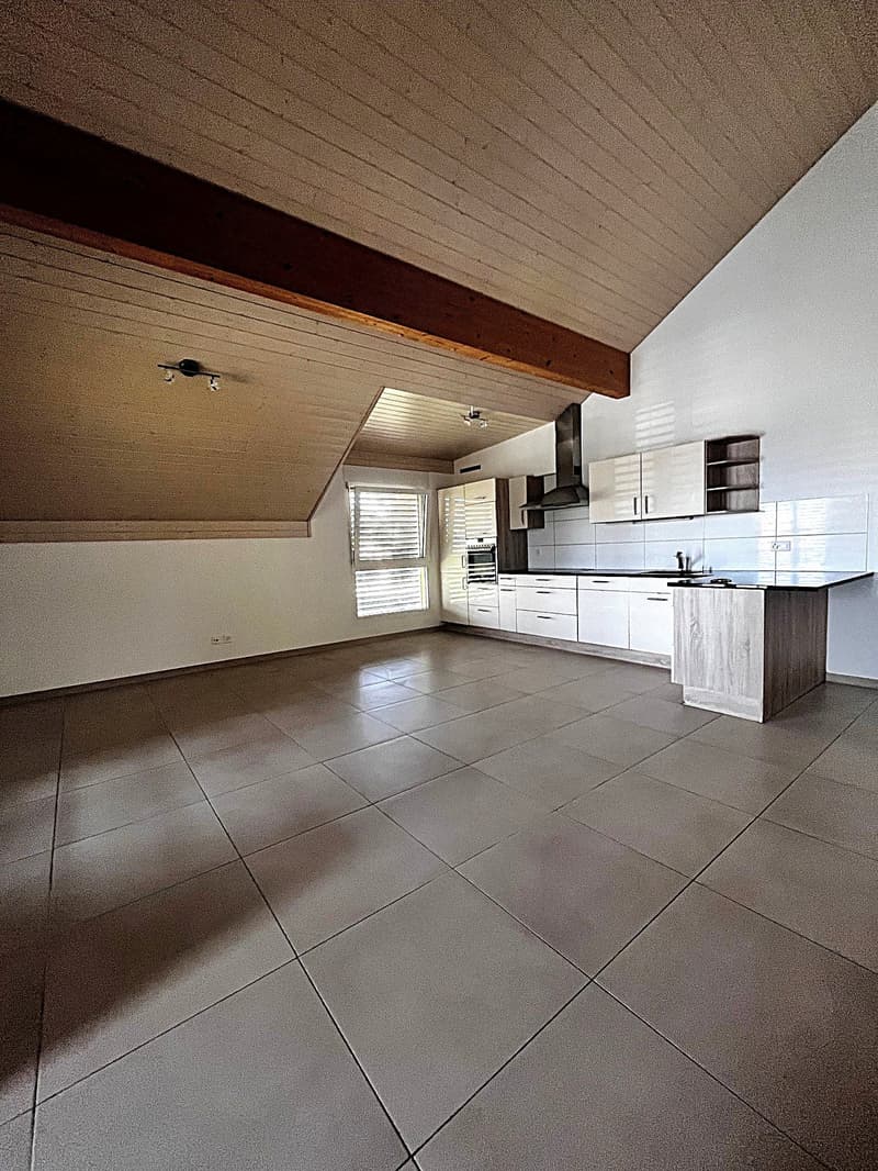 Charmant appartement de 3,5 pièces avec terrasse à Dompierre FR (1)