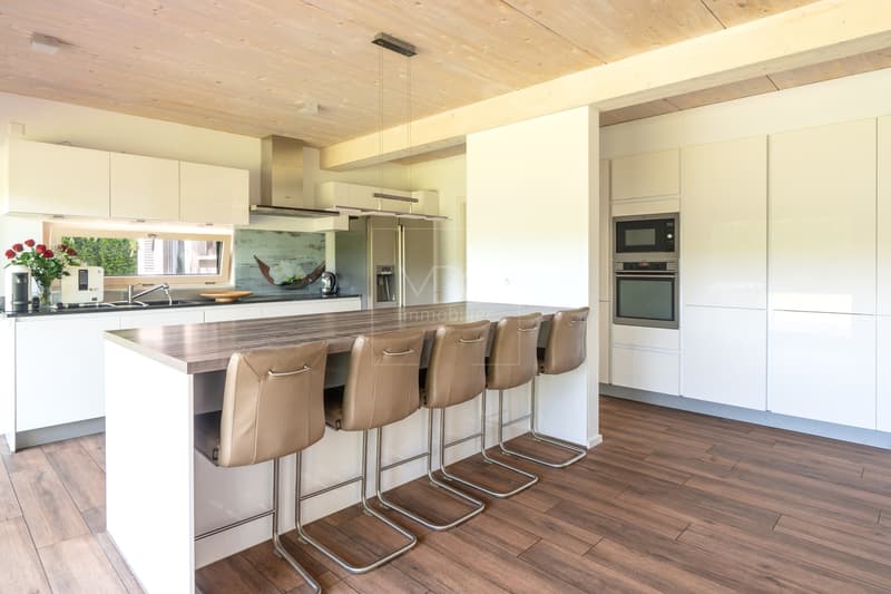 Belle villa contemporaine à 3 min à pied du lac de Morat à Faoug (6)