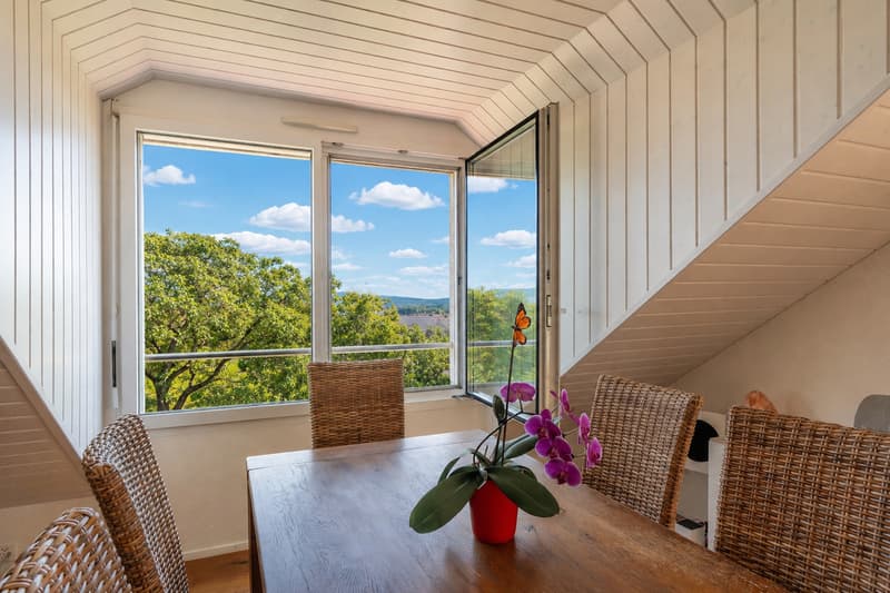 Appartement de 3.5 p. avec vue sur les Alpes et le Jura à Reverolle (5)
