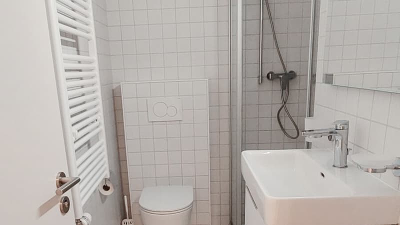 Moderne 4.5-Zimmer-Wohnung - appartement moderne 4.5 pièces (7)