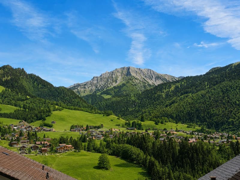 Un jardin face aux montagnes ? 3.5 pièces avec terrasse et vue dégagée à Cerniat (9)