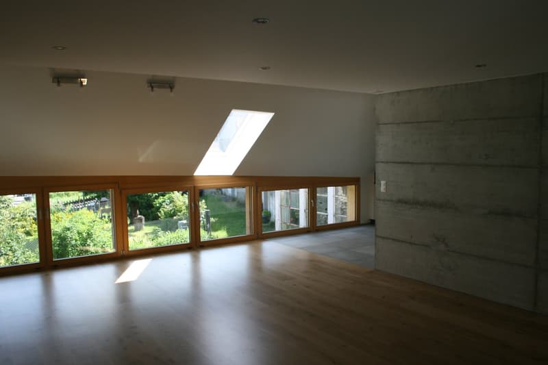 large windows, wooden floor, skylight, concrete wall