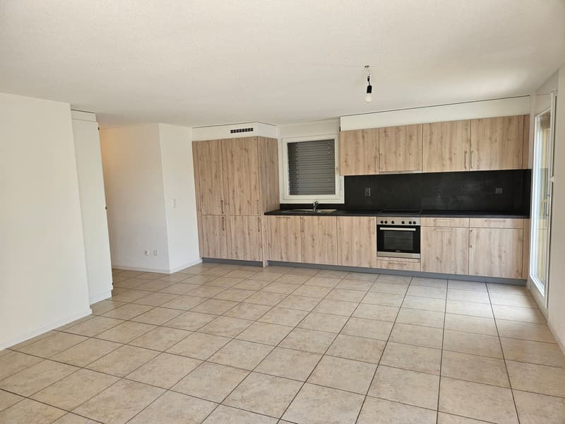 Magnifique et lumineux appartement de 5,5 pièces en duplex (1)