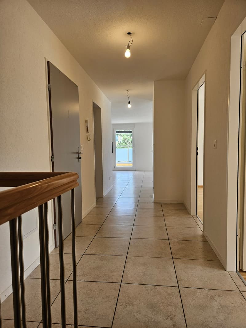 Magnifique et lumineux appartement de 5,5 pièces en duplex (2)