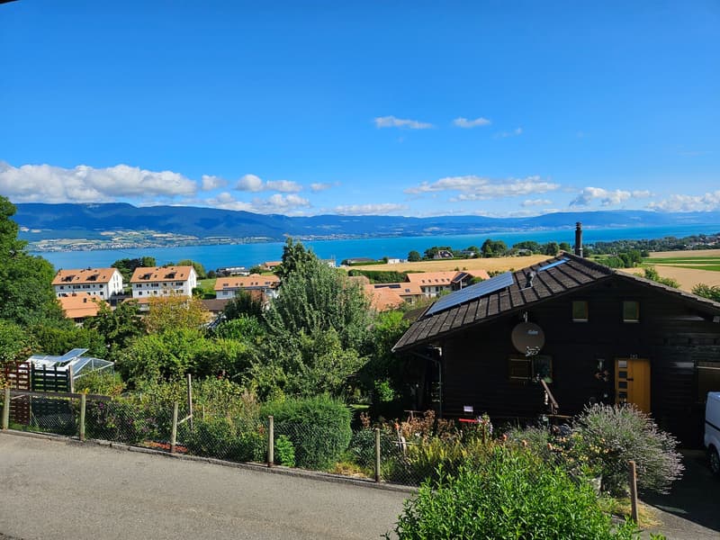 Charmant chalet meublé de 2.5 pièces à Châtillon FR (7)