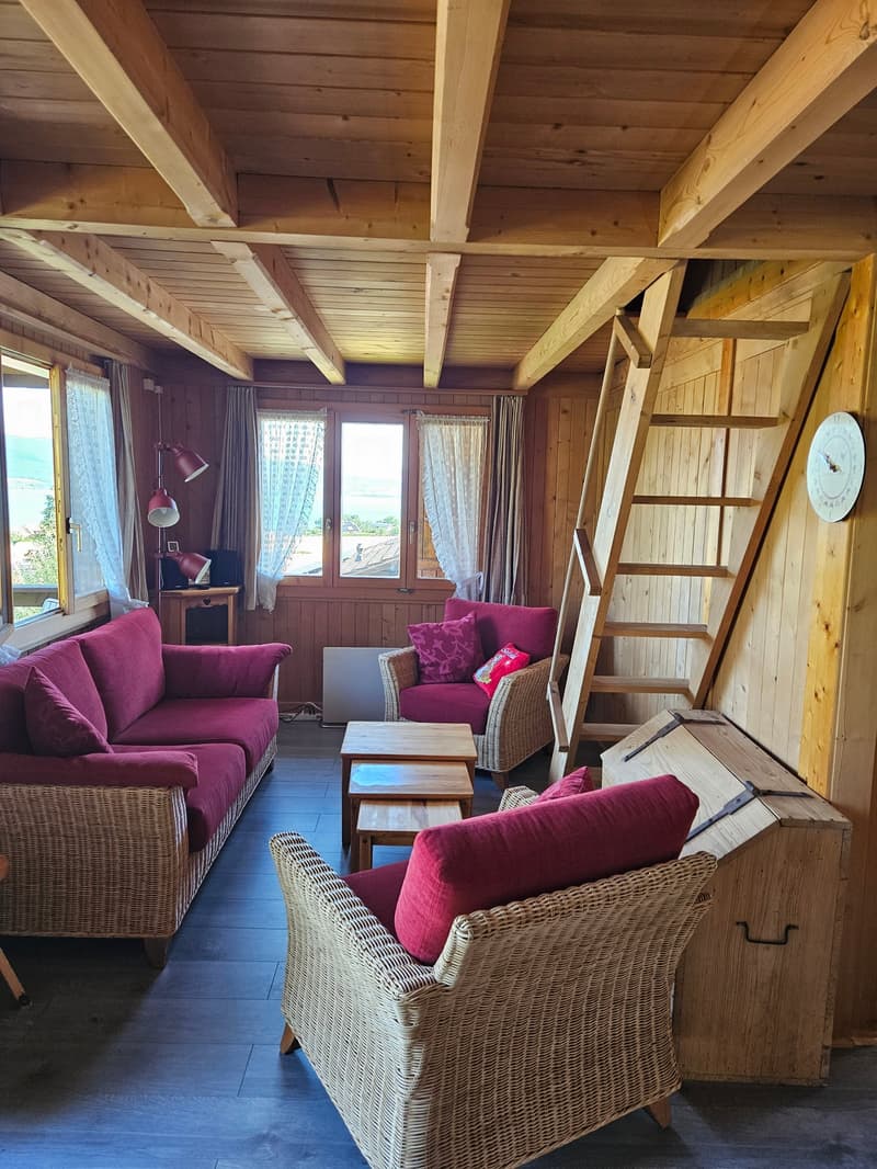 Charmant chalet meublé de 2.5 pièces à Châtillon FR (4)