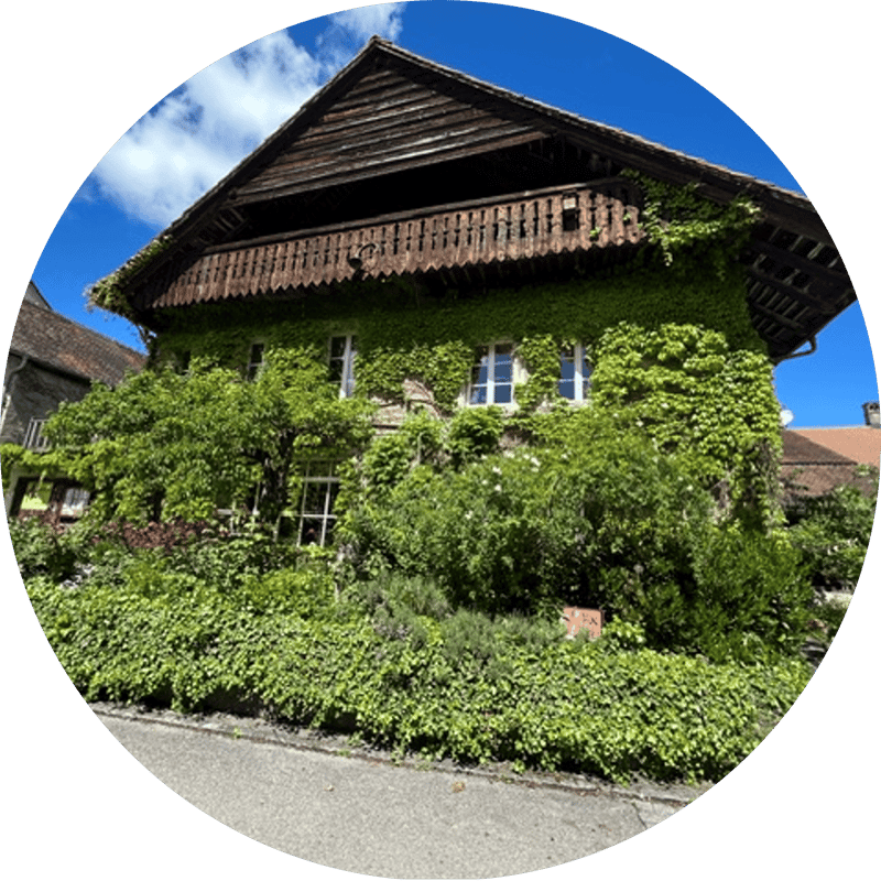 Au coeur des émotions entre deux maisons (1)