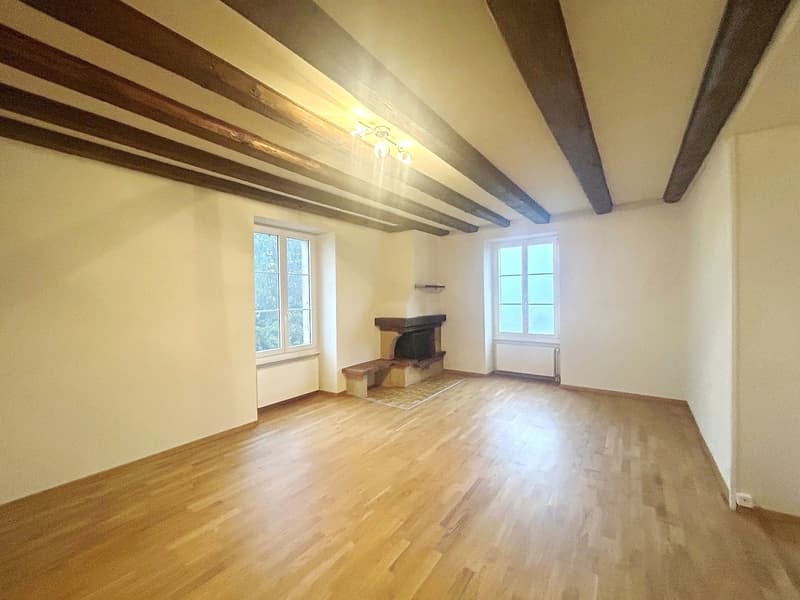 Appartement chaleureux de 3 pièces à Cudrefin (3)