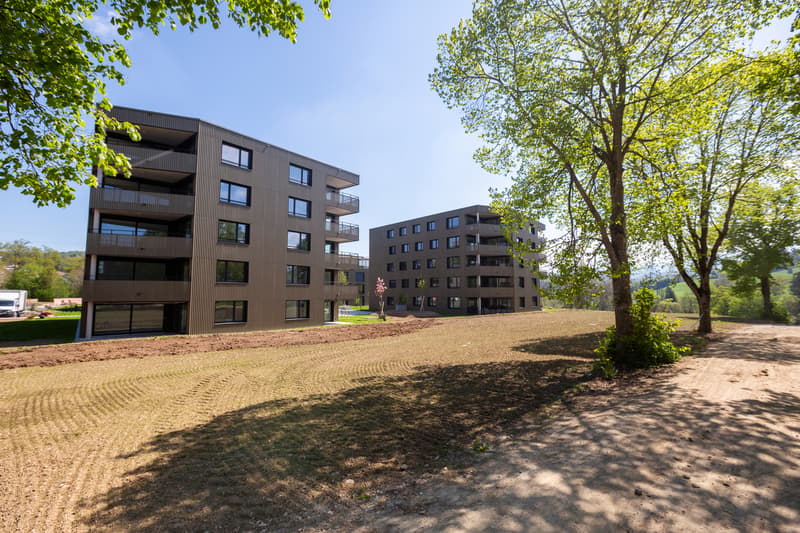 Appartement PPE (8)