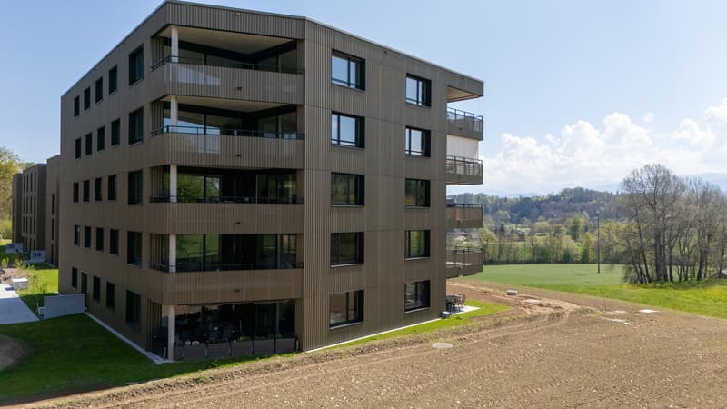Appartement PPE (10)