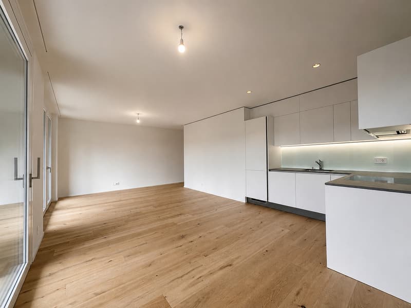 Appartement PPE (2)