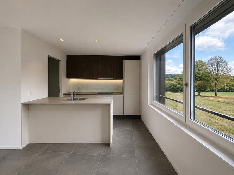 Appartement PPE (3)