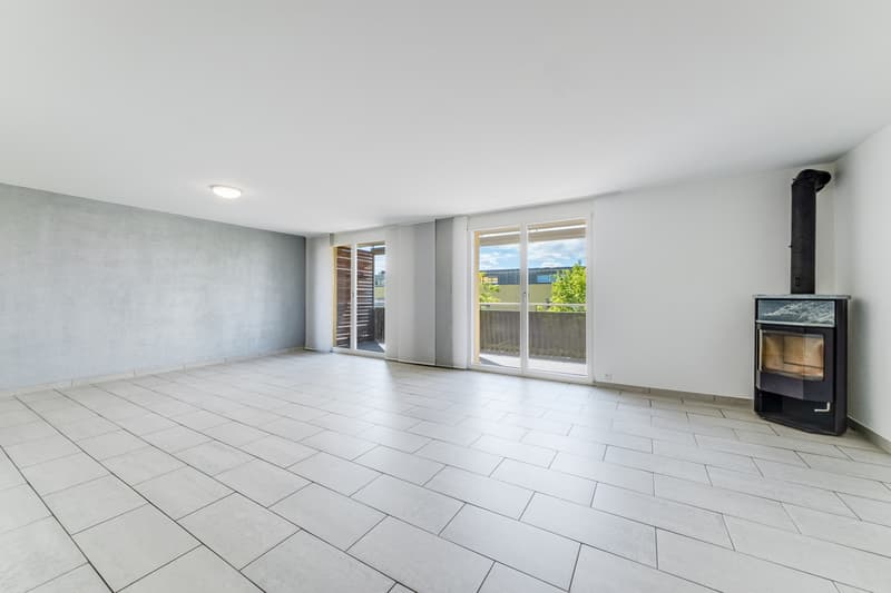 Duplex de 5.5 pièces à vendre (2)