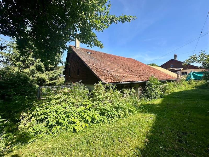 Grange à rénover avec fort potentiel de transformation - Vulliens (5)