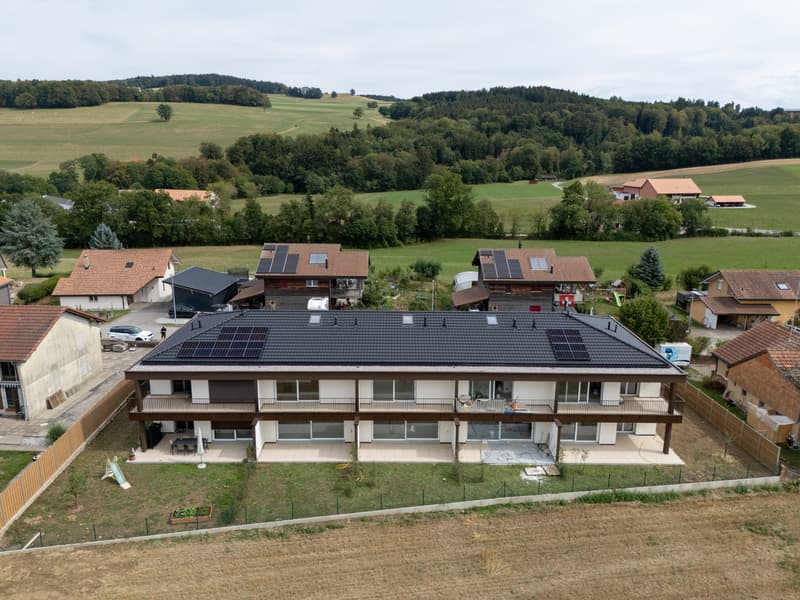 À VENDRE - Magnifique villa contemporaine à Villariaz (13)