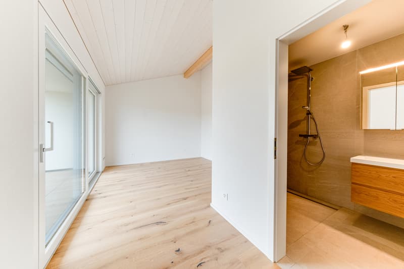 À VENDRE - Magnifique villa contemporaine à Villariaz (7)
