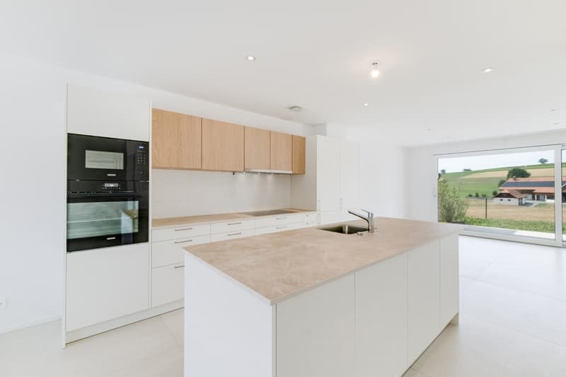À VENDRE - Magnifique villa contemporaine à Villariaz (2)