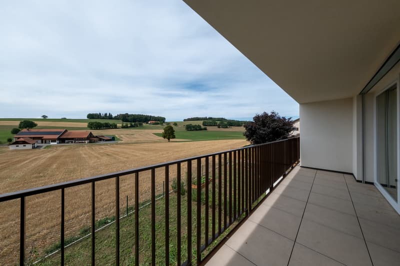 À VENDRE - Magnifique villa contemporaine à Villariaz (9)