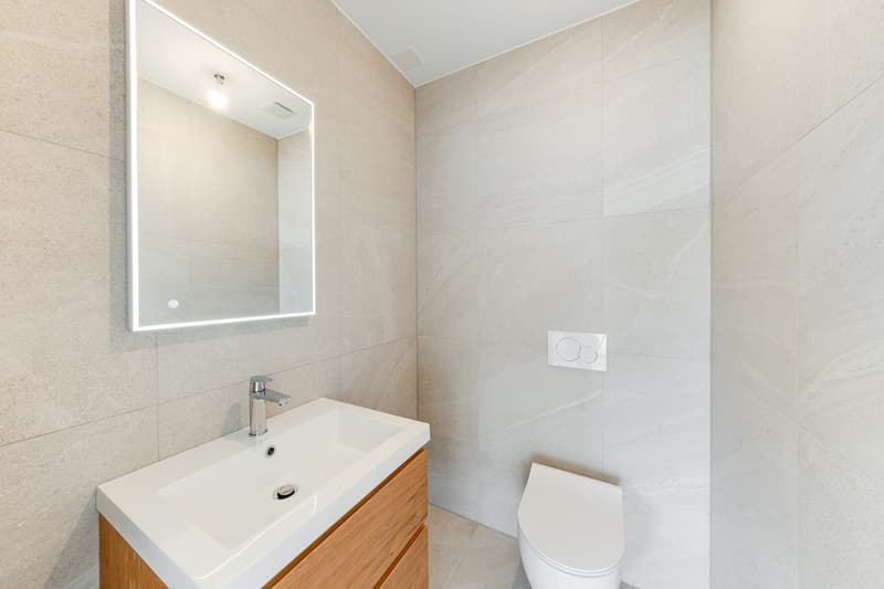 À VENDRE - Magnifique villa contemporaine à Villariaz (5)