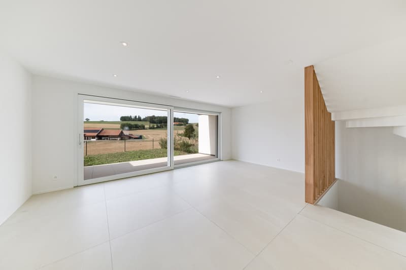 À VENDRE - Magnifique villa contemporaine à Villariaz (3)