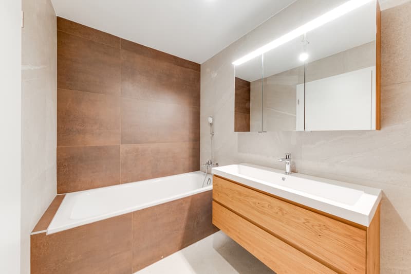 À VENDRE - Magnifique villa contemporaine à Villariaz (11)