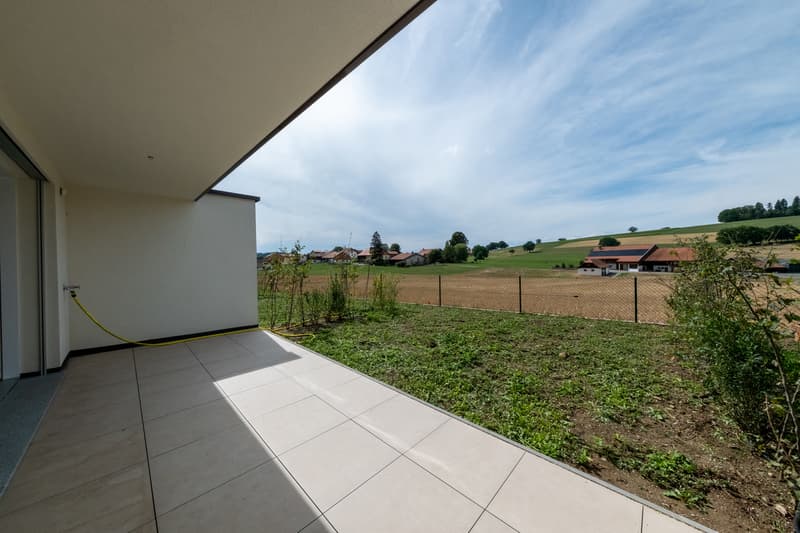 À VENDRE - Magnifique villa contemporaine à Villariaz (4)