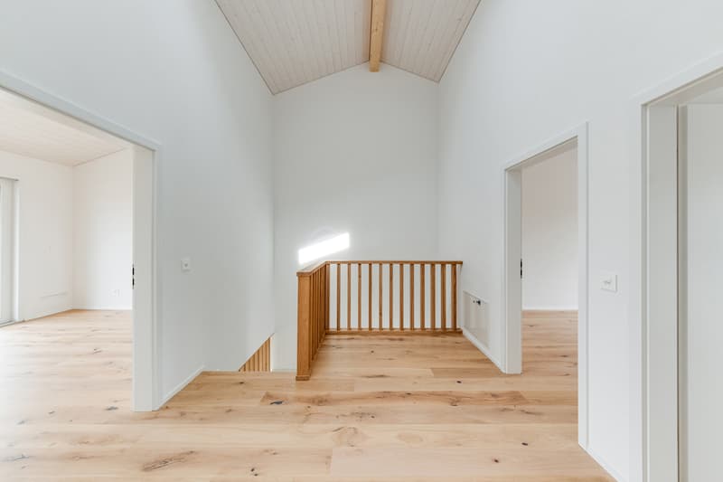 À VENDRE - Magnifique villa contemporaine à Villariaz (6)