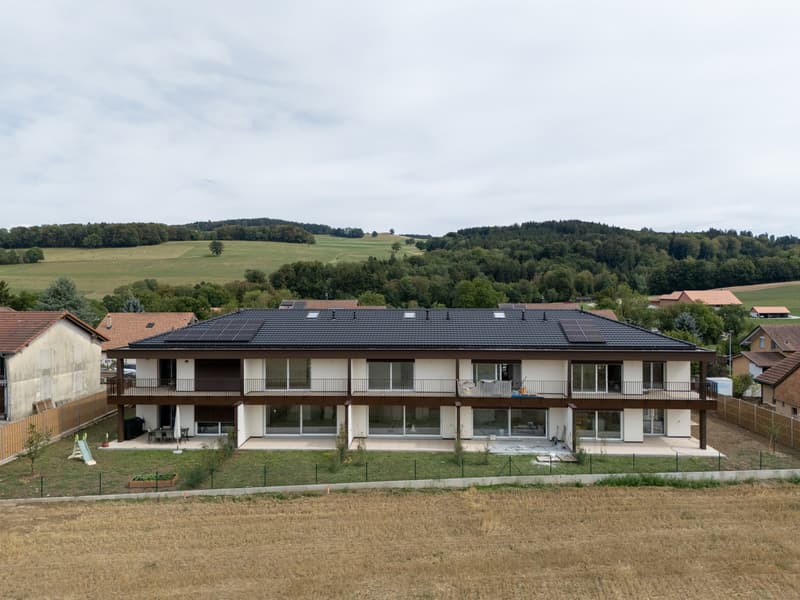 À VENDRE - Magnifique villa contemporaine 6,5 pièces à Villariaz (3)