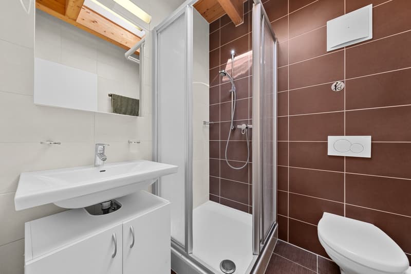 Duplex de 5.5 pièces en PPE à Marly (10)