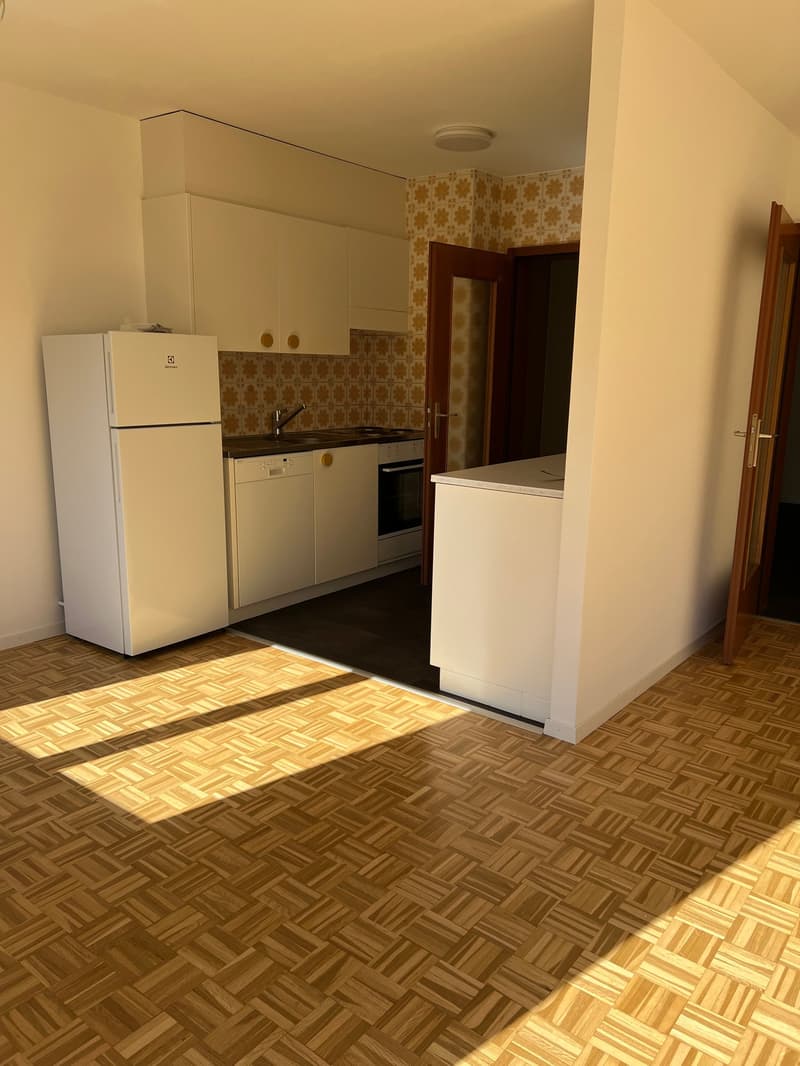 Charmant appartement de 3.5 pièces à Fribourg (7)