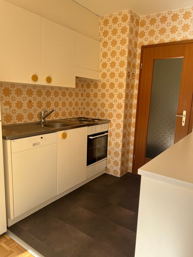 Charmant appartement de 3.5 pièces à Fribourg (8)