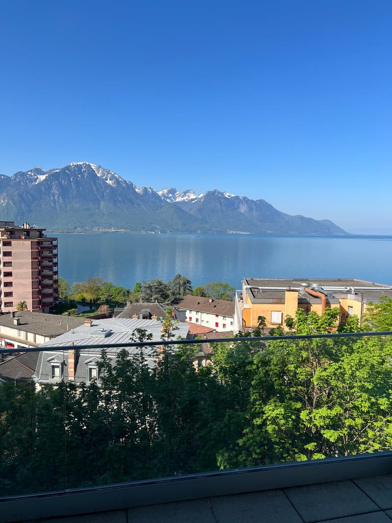 Magnifique appartement de 4 pièces avec vue sur les montagnes à Territet (7)