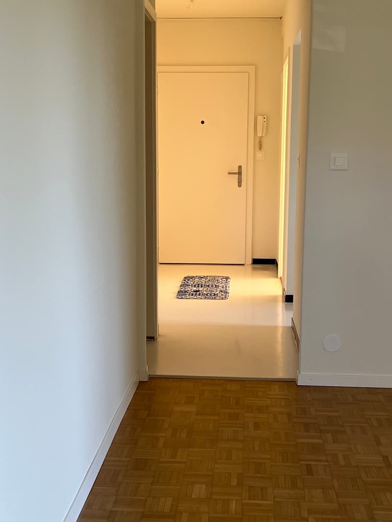 Appartement de 4 pièces avec balcon à Fribourg (10)