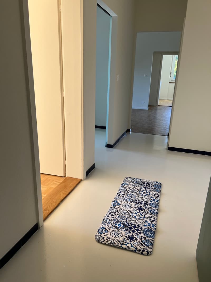 Appartement de 4 pièces avec balcon à Fribourg (13)