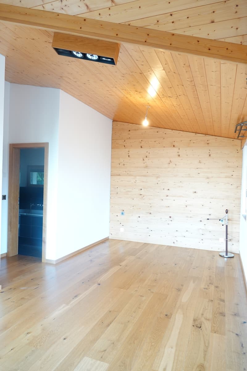 A VENDRE : MAISON D'EXCEPTION (11)