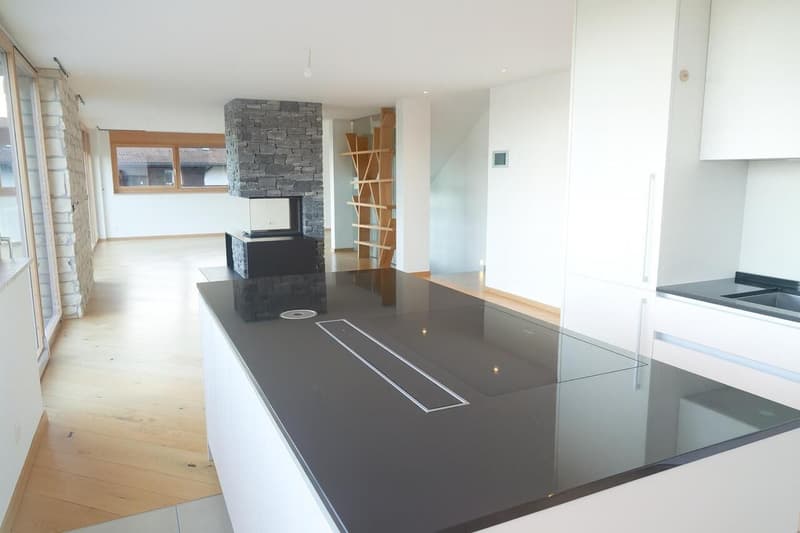 A VENDRE : MAISON D'EXCEPTION (5)