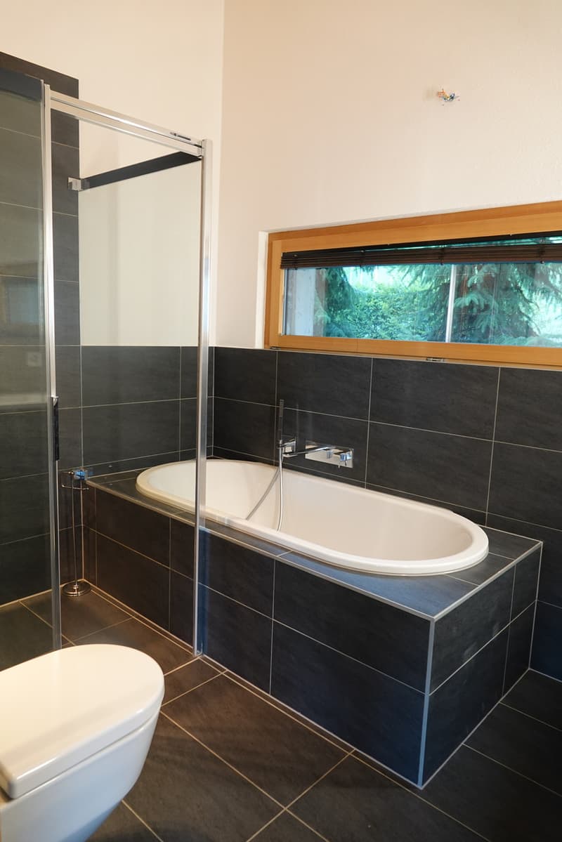 A VENDRE : MAISON D'EXCEPTION (12)