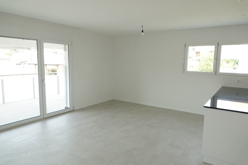 Bel appartement à Farvagny, 3.5pces avec grande terrasse (4)