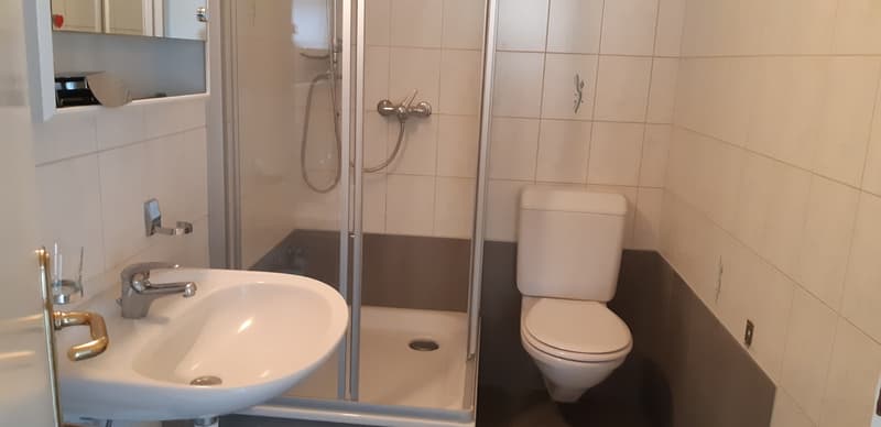 Spacieux appartement de 1 pièce (7)