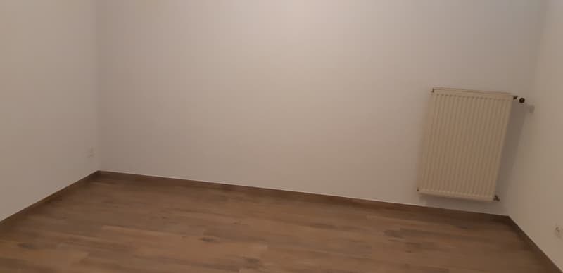 Spacieux appartement de 1 pièce (5)