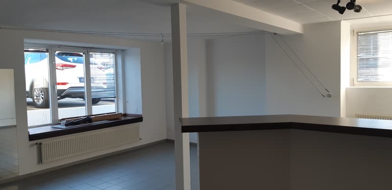 Spacieux appartement de 1 pièce (2)