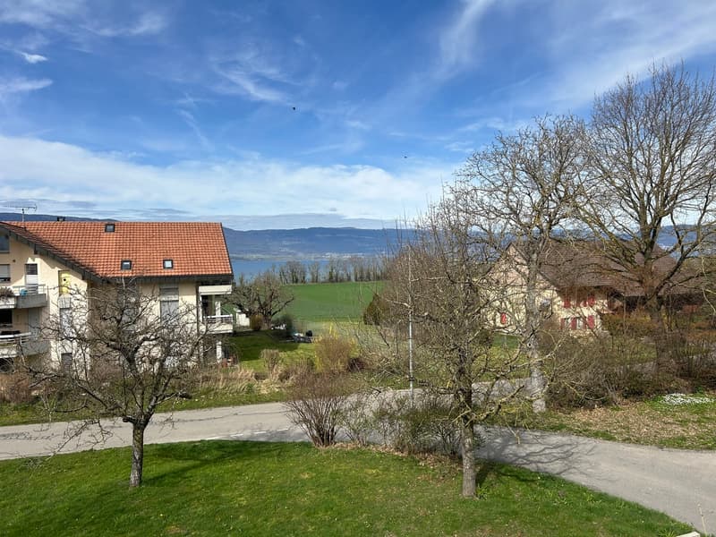 Estavayer /  Forel A vendre superbe 3.5 pièces Avec vue lac et Jura (5)
