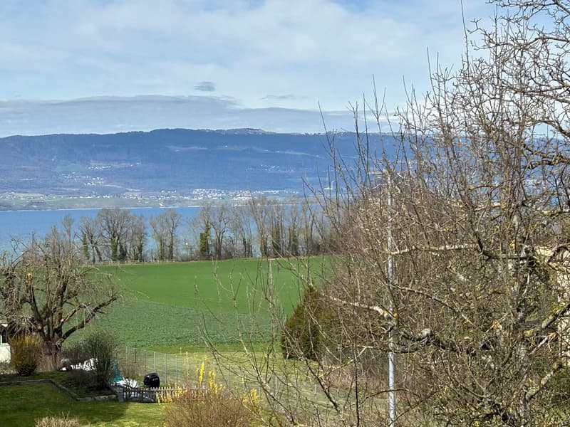 Estavayer / Forel A vendre superbe 3.5 pièces Avec vue lac et Jura (4)