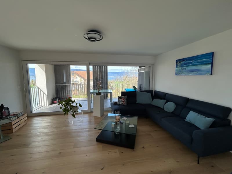 Estavayer / Forel A vendre superbe 3.5 pièces Avec vue lac et Jura (8)