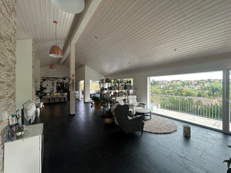 Bollion / Estavayer Magnifique villa à vendre moderne et lumineuse (8)