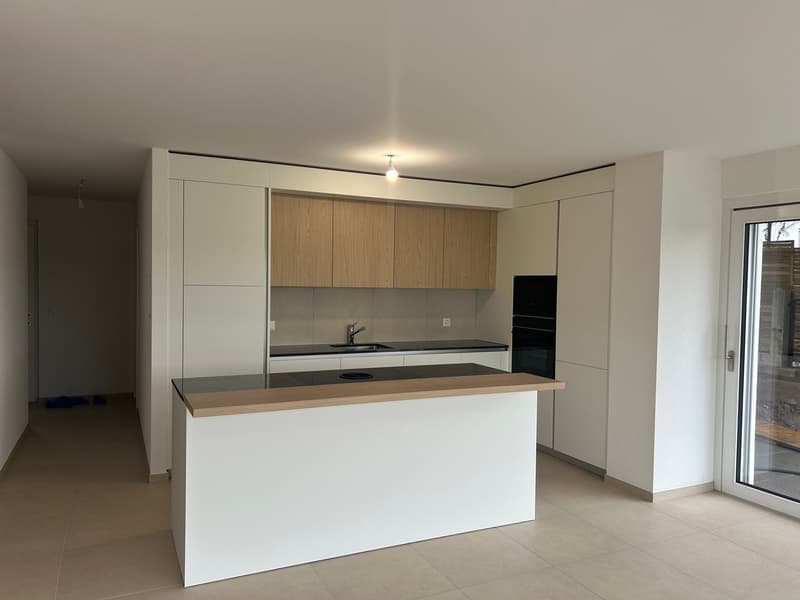 DERNIERE VILLA DISPONIBLE GLETTERENS A VENDRE VILLA CONTIGÜE (7)
