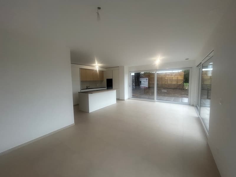 DERNIERE VILLA DISPONIBLE GLETTERENS A VENDRE VILLA CONTIGÜE (3)