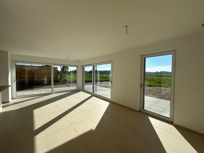 DERNIERE VILLA DISPONIBLE, GLETTERENS A VENDRE, LIBRE DE SUITE (4)