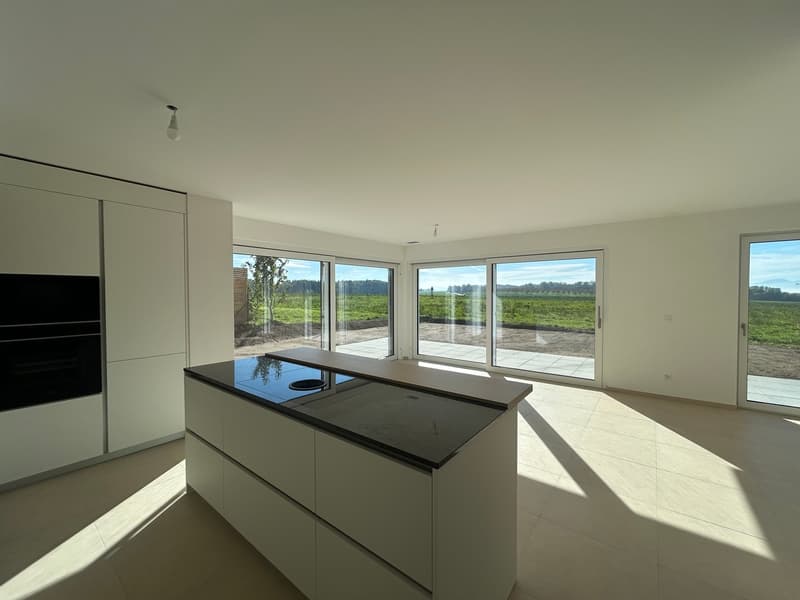 DERNIERE VILLA DISPONIBLE, GLETTERENS A VENDRE, LIBRE DE SUITE (2)