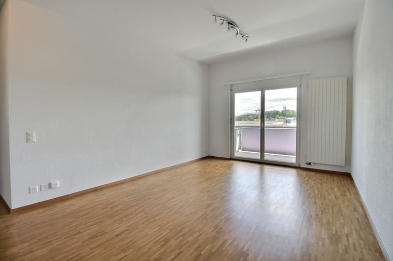Bel appartement en attique de 4.5 pièces (4)